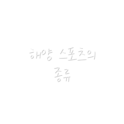 해양 스포츠의 종류