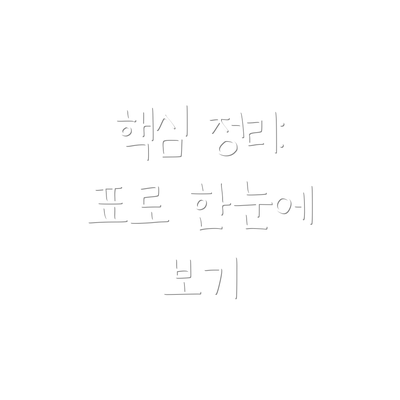 핵심 정리: 표로 한눈에 보기
