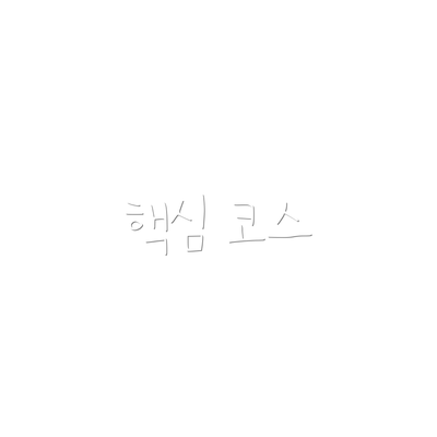 핵심 코스