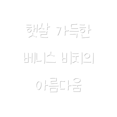 햇살 가득한 베니스 비치의 아름다움