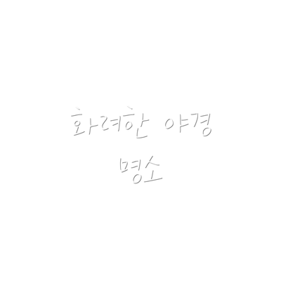 화려한 야경 명소