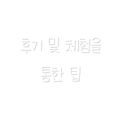 후기 및 체험을 통한 팁
