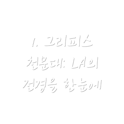 1. 그리피스 천문대: LA의 전경을 한눈에