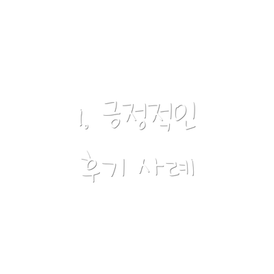 1. 긍정적인 후기 사례