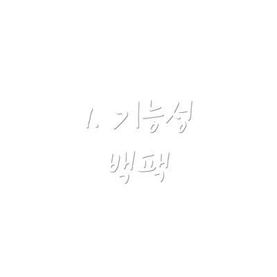 1. 기능성 백팩