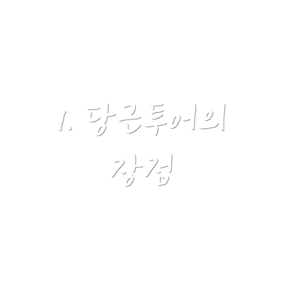 1. 당근투어의 장점