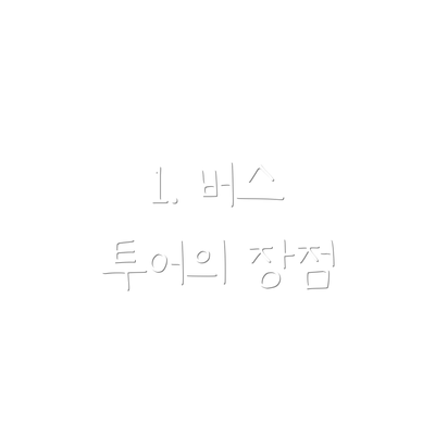 1. 버스 투어의 장점