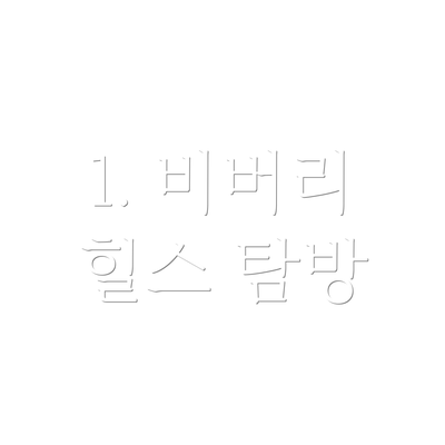 1. 비버리 힐스 탐방