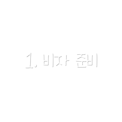 1. 비자 준비
