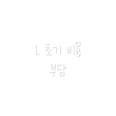 1. 초기 비용 부담