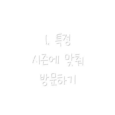 1. 특정 시즌에 맞춰 방문하기