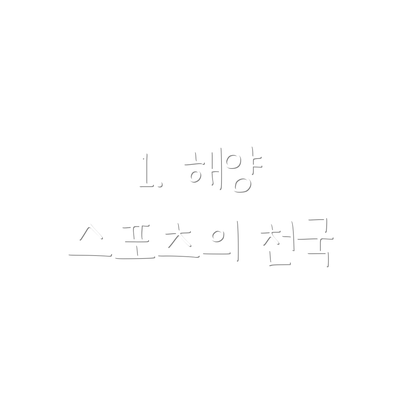1. 해양 스포츠의 천국