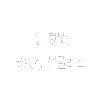 1. 햇볕 차단, 선글라스