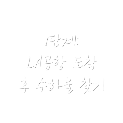 1단계: LA공항 도착 후 수하물 찾기