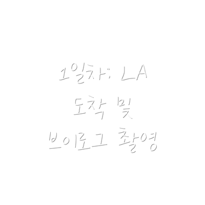 1일차: LA 도착 및 브이로그 촬영