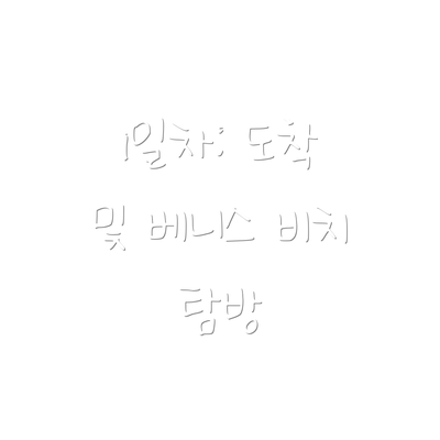 1일차: 도착 및 베니스 비치 탐방