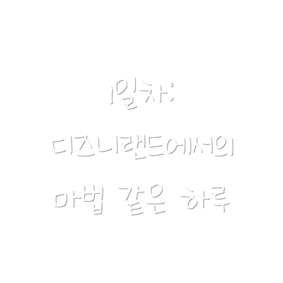 1일차: 디즈니랜드에서의 마법 같은 하루