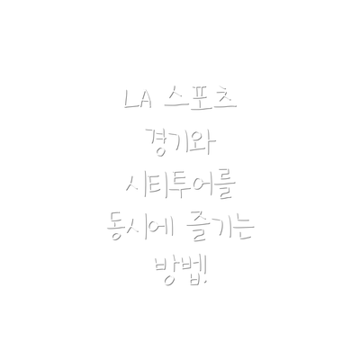 LA 스포츠 경기와 시티투어를 동시에 즐기는 방법!