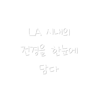 LA 시내의 전경을 한눈에 담다