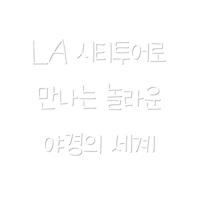 LA 시티투어로 만나는 놀라운 야경의 세계