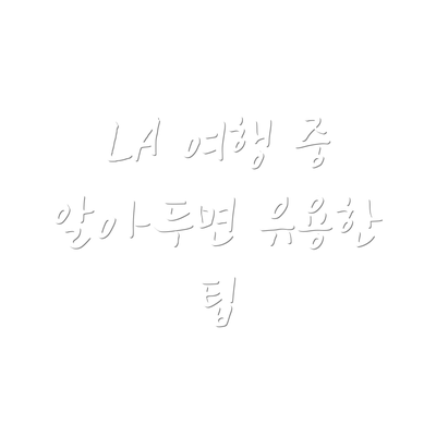 LA 여행 중 알아두면 유용한 팁