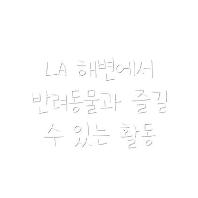 LA 해변에서 반려동물과 즐길 수 있는 활동