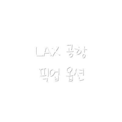 LAX 공항 픽업 옵션