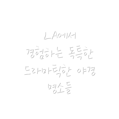 LA에서 경험하는 독특한 드라마틱한 야경 명소들