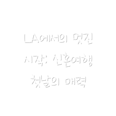 LA에서의 멋진 시작: 신혼여행 첫날의 매력