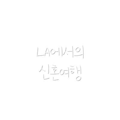 LA에서의 신혼여행