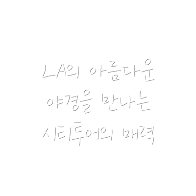 LA의 아름다운 야경을 만나는 시티투어의 매력