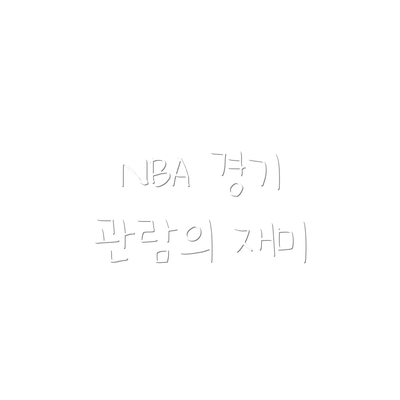 NBA 경기 관람의 재미