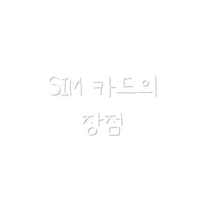 SIM 카드의 장점