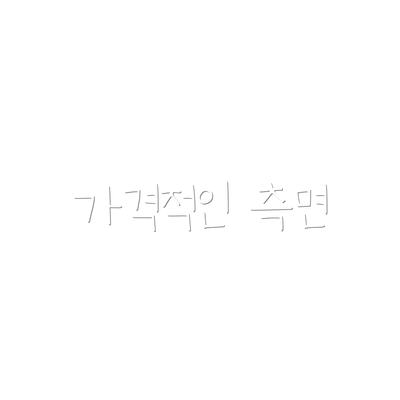 가격적인 측면