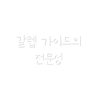 갈렙 가이드의 전문성