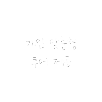 개인 맞춤형 투어 제공