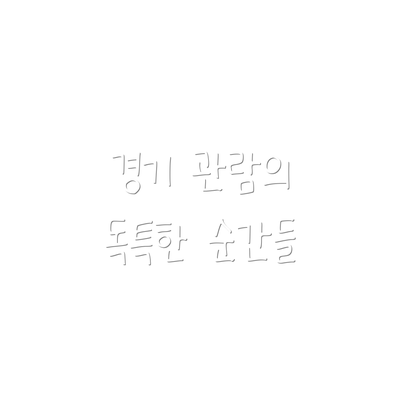 경기 관람의 독특한 순간들