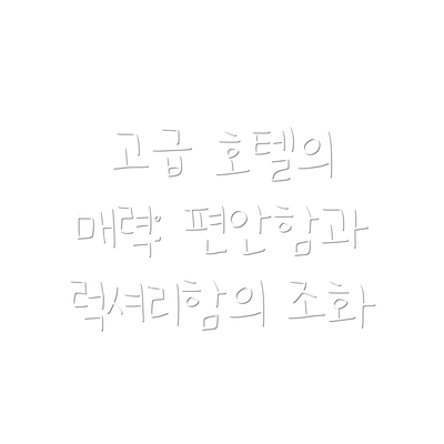 고급 호텔의 매력: 편안함과 럭셔리함의 조화