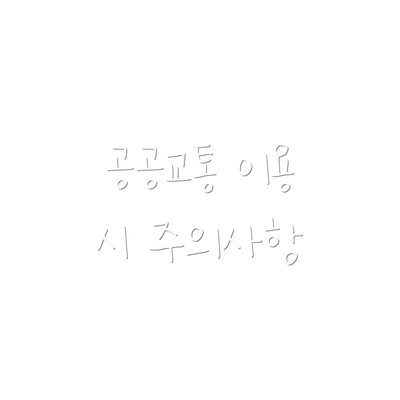 공공교통 이용 시 주의사항