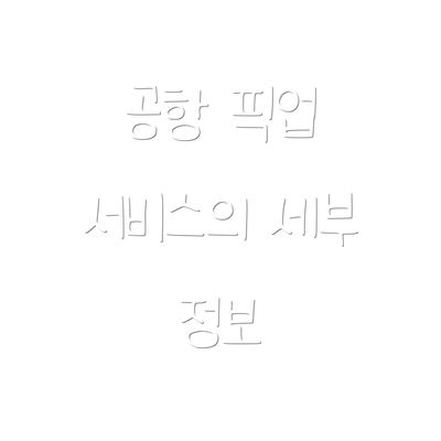 공항 픽업 서비스의 세부 정보