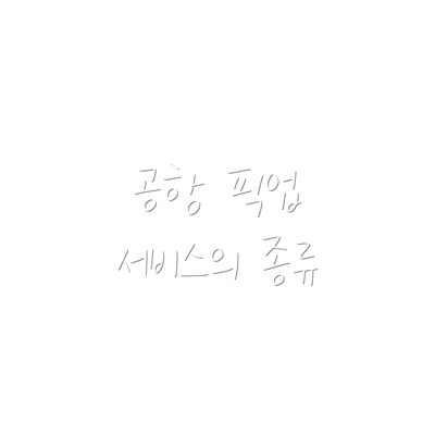공항 픽업 서비스의 종류