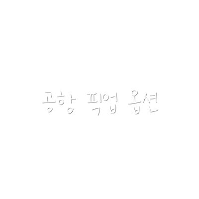 공항 픽업 옵션