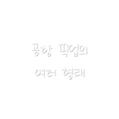 공항 픽업의 여러 형태
