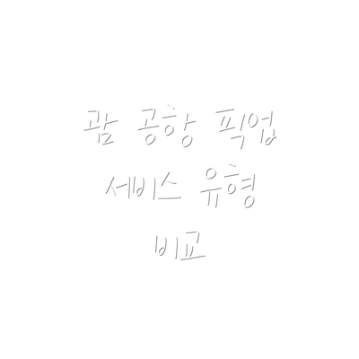 괌 공항 픽업 서비스 유형 비교