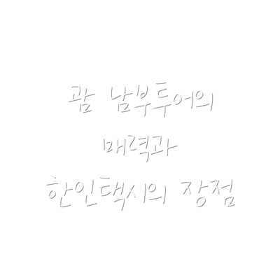 괌 남부투어의 매력과 한인택시의 장점