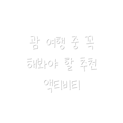 괌 여행 중 꼭 해봐야 할 추천 액티비티