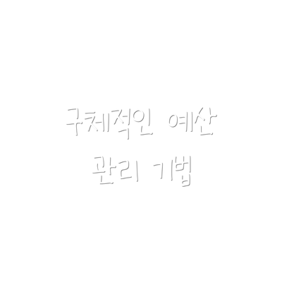 구체적인 예산 관리 기법