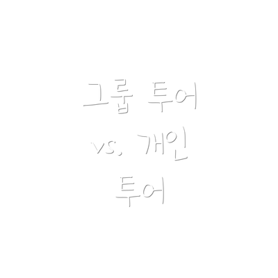 그룹 투어 vs. 개인 투어