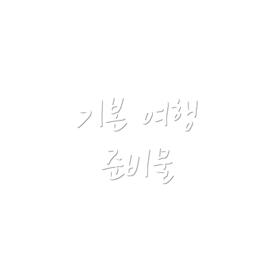 기본 여행 준비물