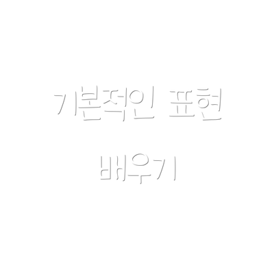 기본적인 표현 배우기